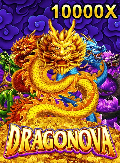 55mmr